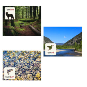 Animal Habitat Sheets - 3 sheets